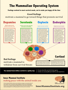 poster happy chemicals