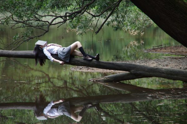 adult lying on tree with book