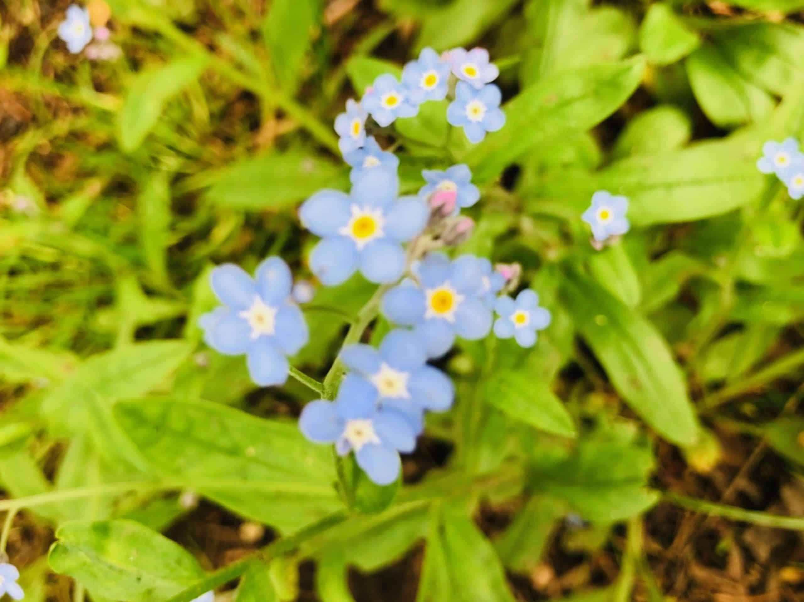 Grit, Grace, Gratitude 2020