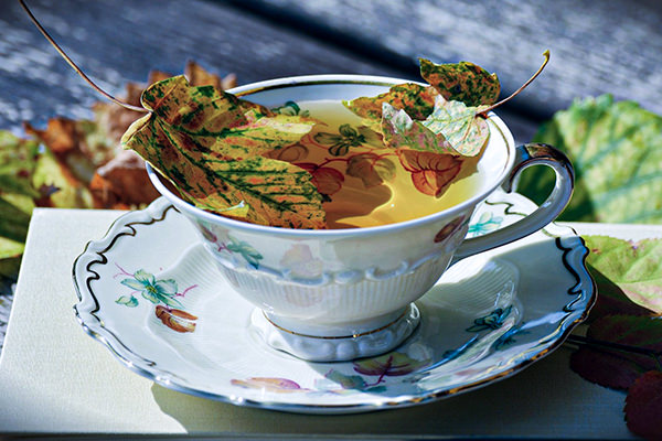 leaves in a tea cup representing autumn