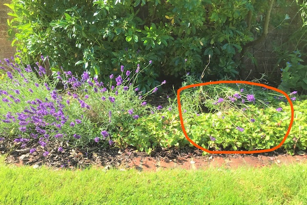 Support and Tools For Personal Growth