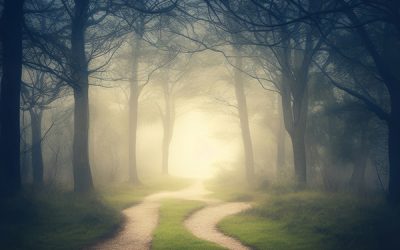 Positive Psychology and Mental Health : Clearing The Path