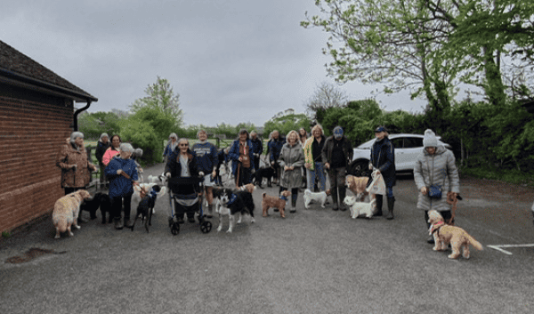volunteers and dogs for The Cinnamon Trust at beginning of walk