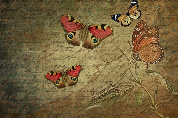 Be the Creator of Your Own Story